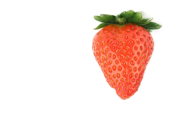 stock image One strawberry