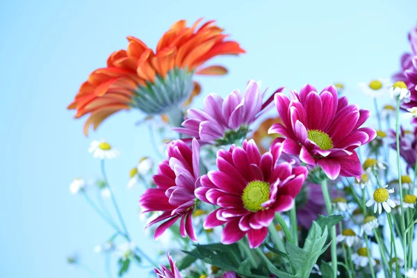 Kleurrijke zomerbloemen — Stockfoto