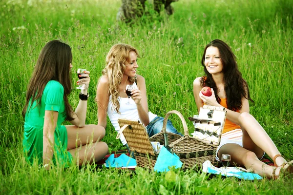 Girlfriends on picnic — Stock Photo, Image