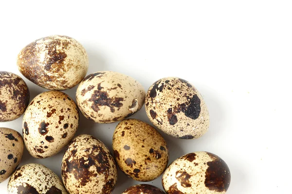 Quail egg background — Stock Photo, Image