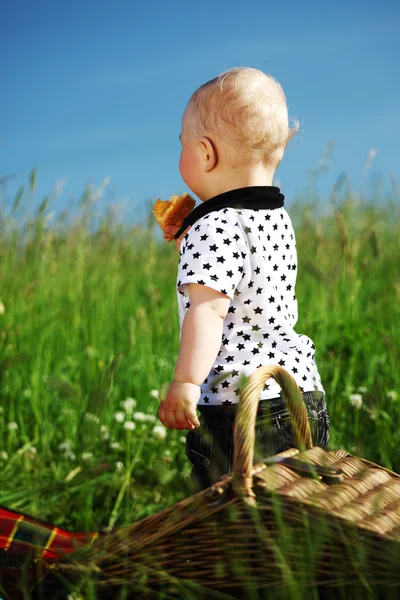 Çocuk üzerinde piknik — Stok fotoğraf