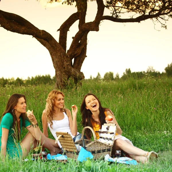 Barátnők piknik — Stock Fotó
