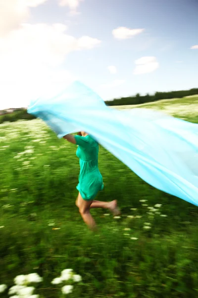 Zomer vliegen — Stockfoto