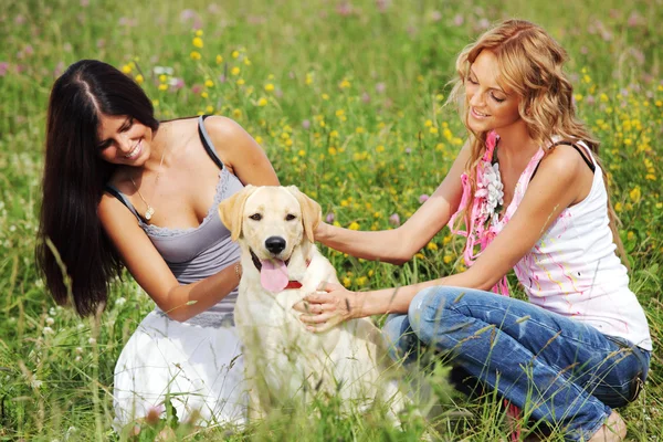 Подружки и собака — стоковое фото