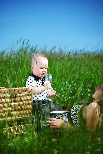 家庭野餐 — 图库照片