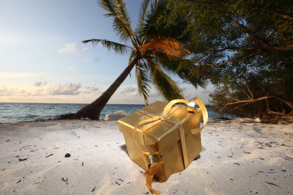Okyanus plaj altın hediye — Stok fotoğraf