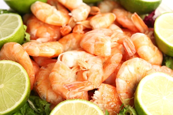 stock image Shrimp background