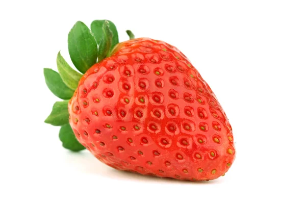 O căpșună — Fotografie, imagine de stoc