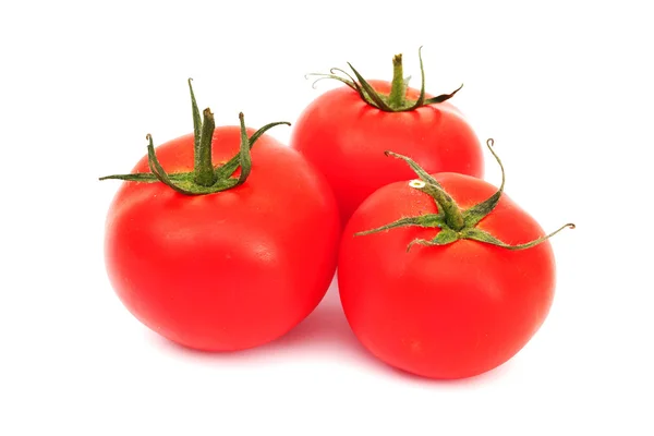 Tomato pile — стоковое фото