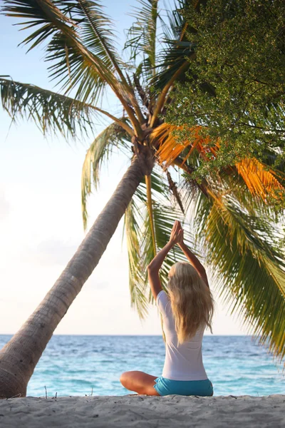 Yoga kadın palmiye altında — Stok fotoğraf