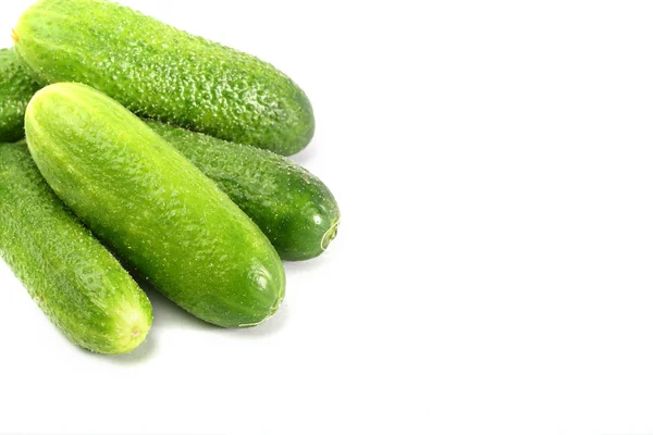 Isolated cucumber — Stock Photo, Image
