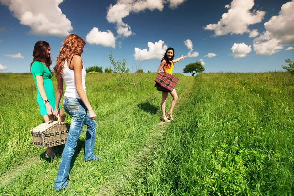 Kız üzerinde piknik — Stok fotoğraf