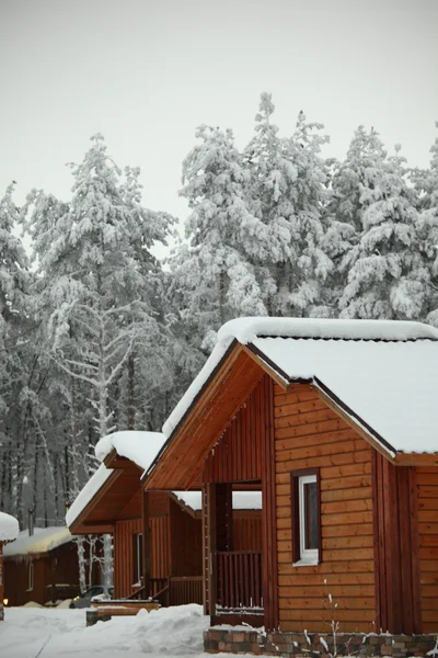 Χειμερινές εξοχικές κατοικίες — Φωτογραφία Αρχείου