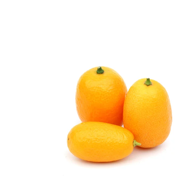 Kumquat — Stock fotografie