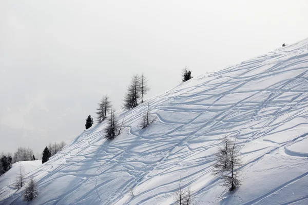 Ίχνη σκι στο χιόνι — Φωτογραφία Αρχείου