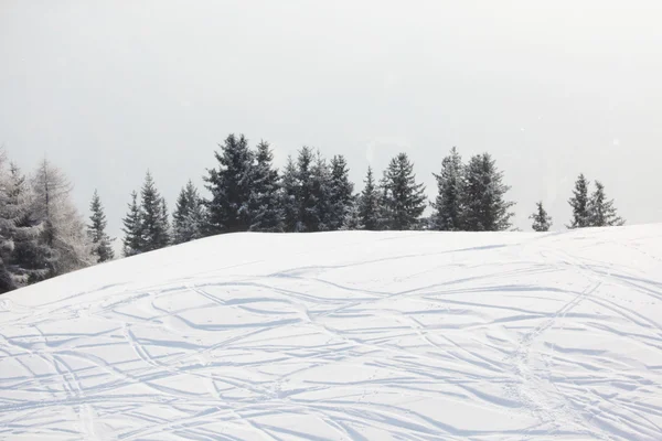 Lyžařské stopy na sněhu — Stock fotografie