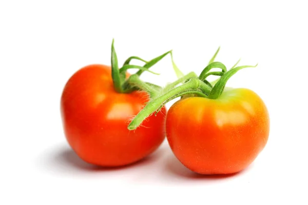 Red tomato pile on white — Stock Photo, Image