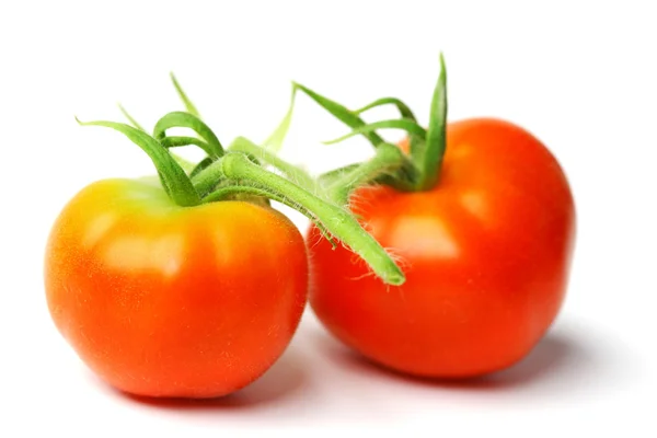 Red tomato pile on white — Stock Photo, Image