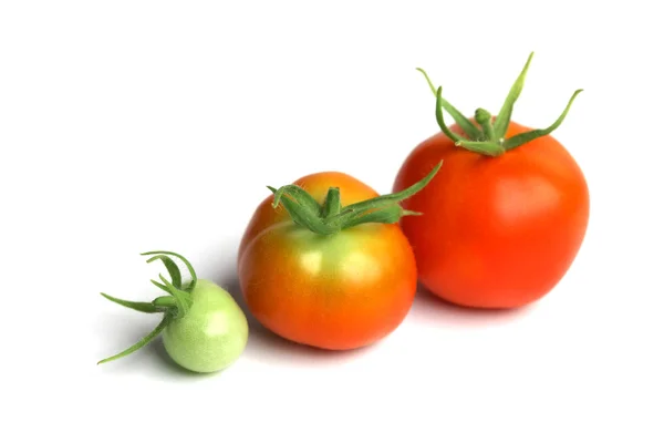 Tomato pile on white — Stock Photo, Image