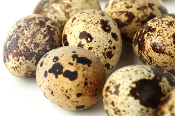메 추 라 기 계란 배경 — 스톡 사진