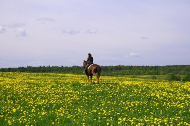 Horse rider clipart