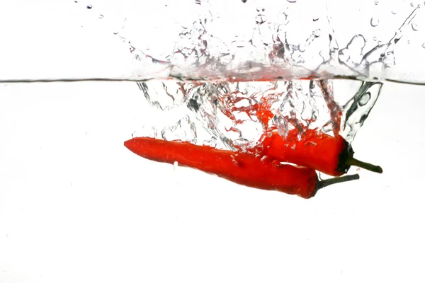 Chili pepper kuchařka — Stock fotografie
