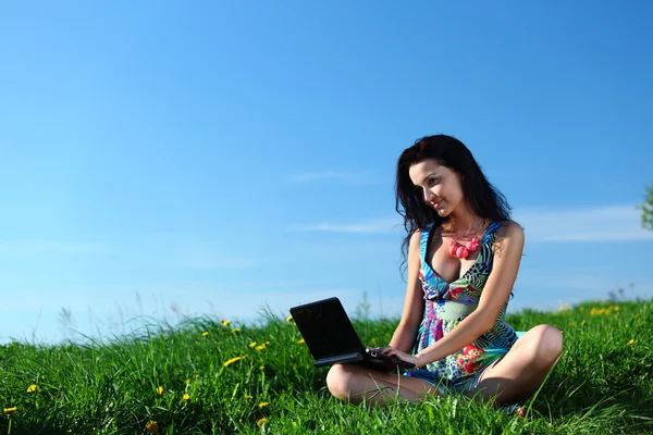 Laptop werk in veld — Stockfoto