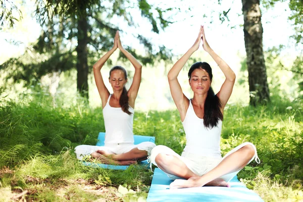 Loto yoga — Foto Stock