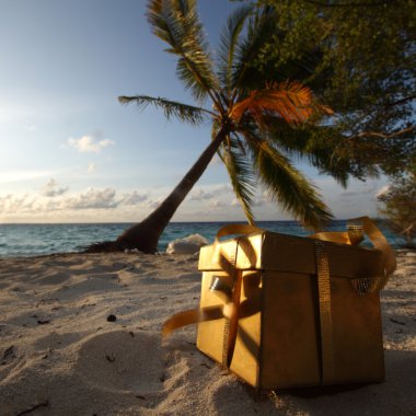 Golden gift on ocean beach clipart