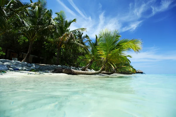 Pulau tropis — Stok Foto