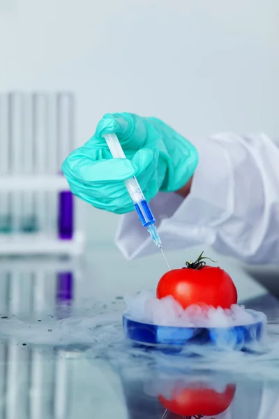 ДНК зміни томатний — стокове фото