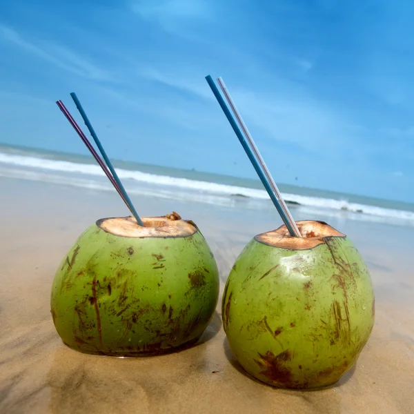 Kokosnoot cocktail — Stockfoto