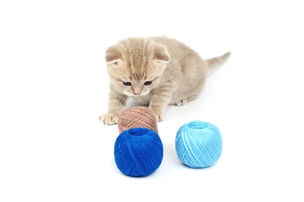 stock image Cat and blue wool ball