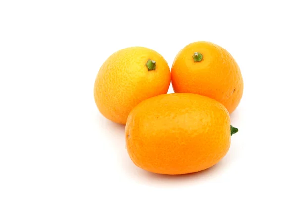 stock image Kumquat