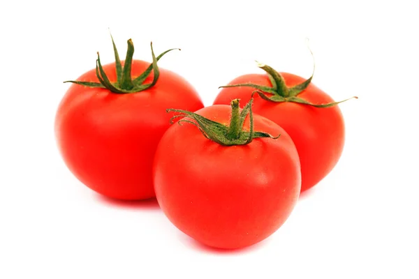 Kupie pomidor — Zdjęcie stockowe