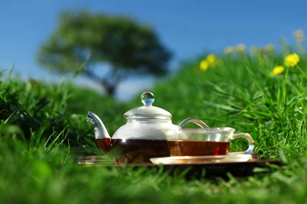 Tee auf Gras — Stockfoto