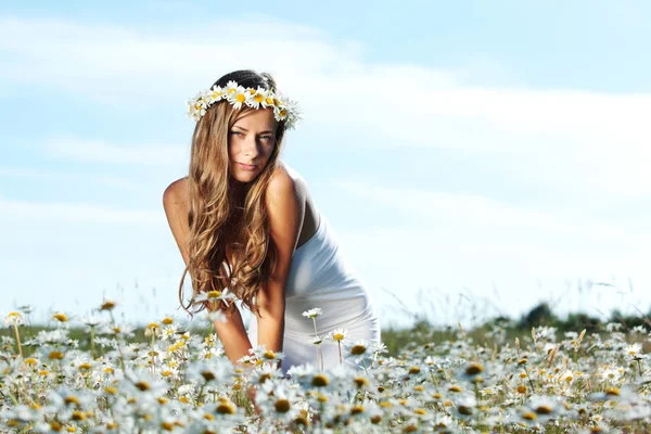 Chica en vestido en el campo de flores de margarita — Foto de Stock