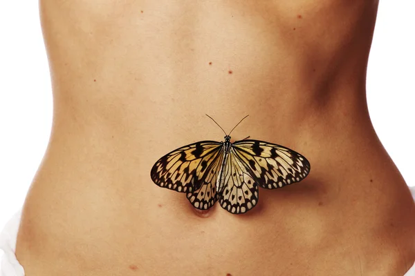 stock image Butterflies in the stomach