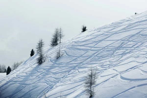 Lyžařské stopy na sněhu — Stock fotografie
