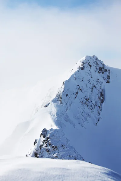 Vrchol Alp — Stock fotografie