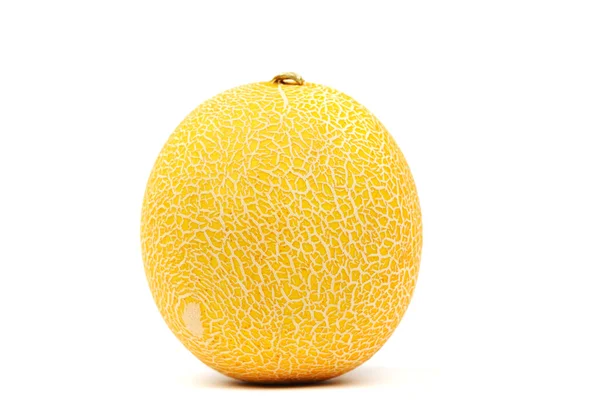 stock image Galia melone