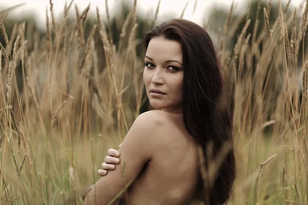 ライ麦畑での女性 — ストック写真