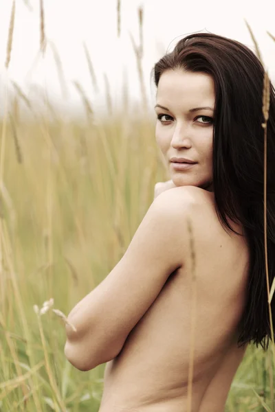 ライ麦畑での女性 — ストック写真