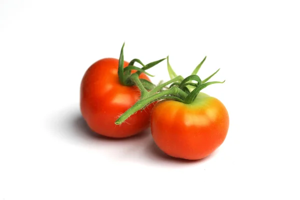 화이트에 빨간 토마토 더미 — 스톡 사진