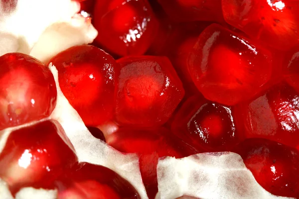 stock image Pomegranate