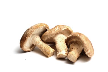 Shiitake mushrooms clipart