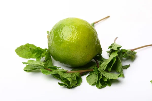 Lime and mint — Stock Photo, Image