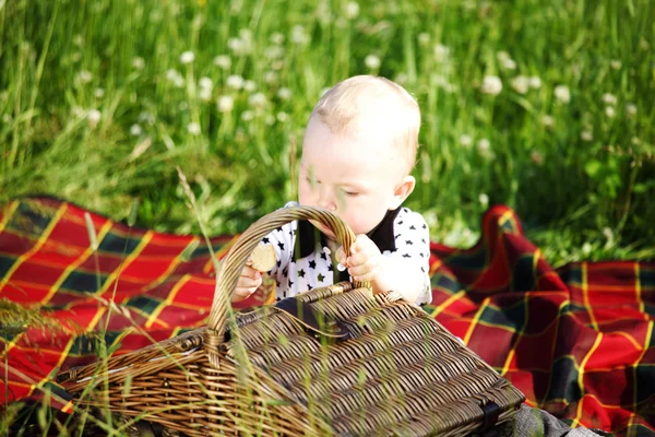 Chłopiec na piknik — Zdjęcie stockowe