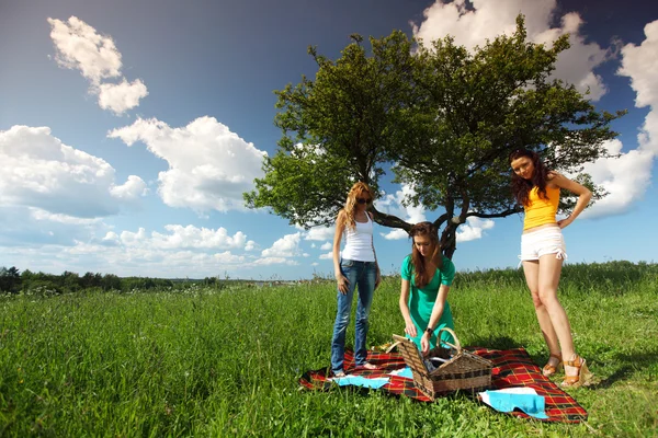 Kız üzerinde piknik — Stok fotoğraf