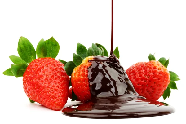 초콜릿 딸기 — 스톡 사진